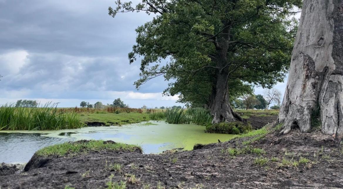 Kopice " Kowalczyk Hotel Residences In Nature Parks " Goleniów エクステリア 写真