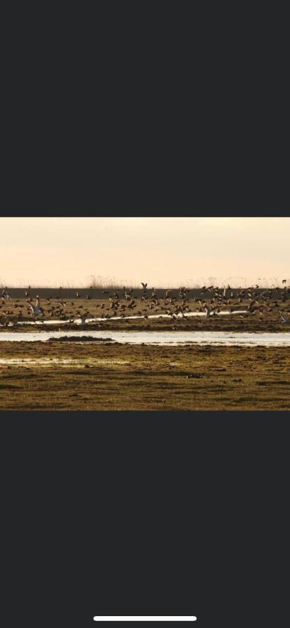 Kopice " Kowalczyk Hotel Residences In Nature Parks " Goleniów エクステリア 写真